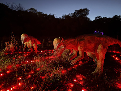 Holidays at the Heard