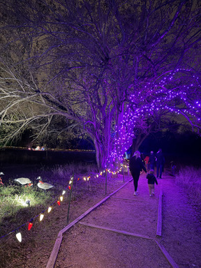 Holidays at the Heard